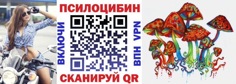 Псилоцибиновые грибы Cubensis Ленинградская